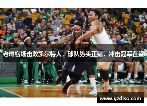 老鹰客场击败凯尔特人，球队势头正猛，冲击冠军在望
