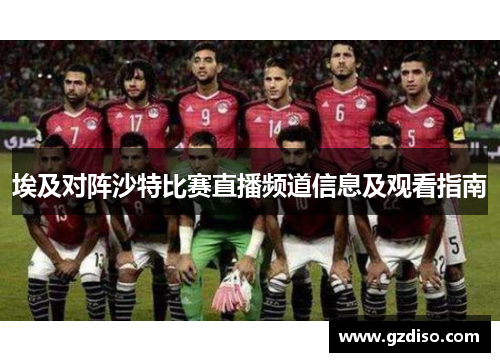 埃及对阵沙特比赛直播频道信息及观看指南