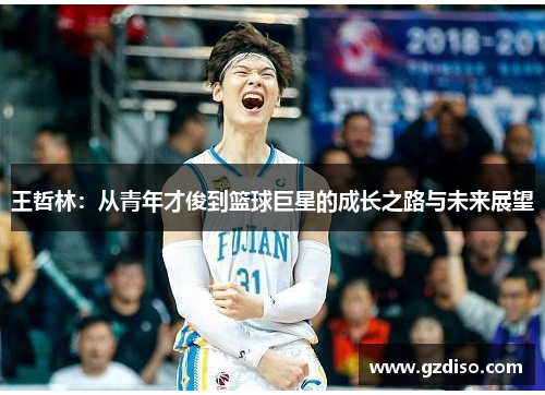 王哲林：从青年才俊到篮球巨星的成长之路与未来展望