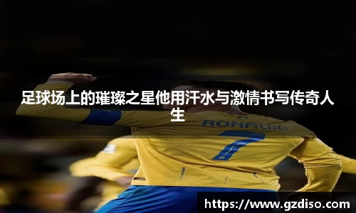 足球场上的璀璨之星他用汗水与激情书写传奇人生